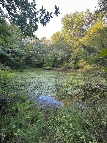 $218,519 | Tbd East Wirth Road, Ravenden, AR 72459