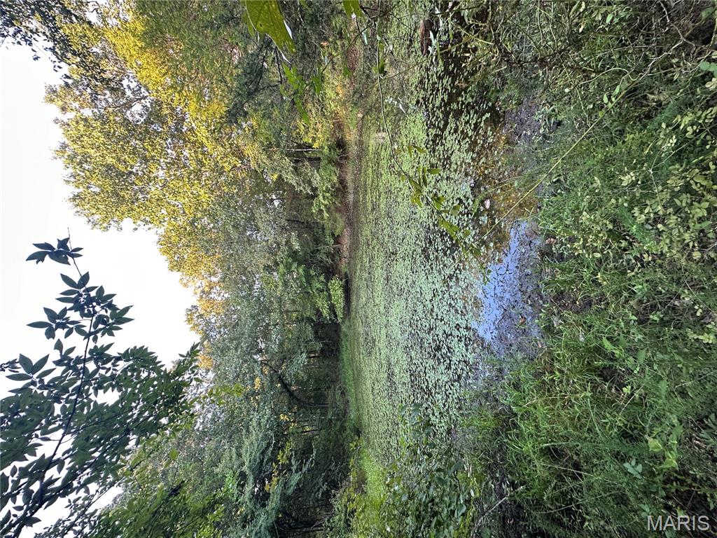 Tbd East Wirth Road Ravenden, AR 72459 - Photo 58 of 70