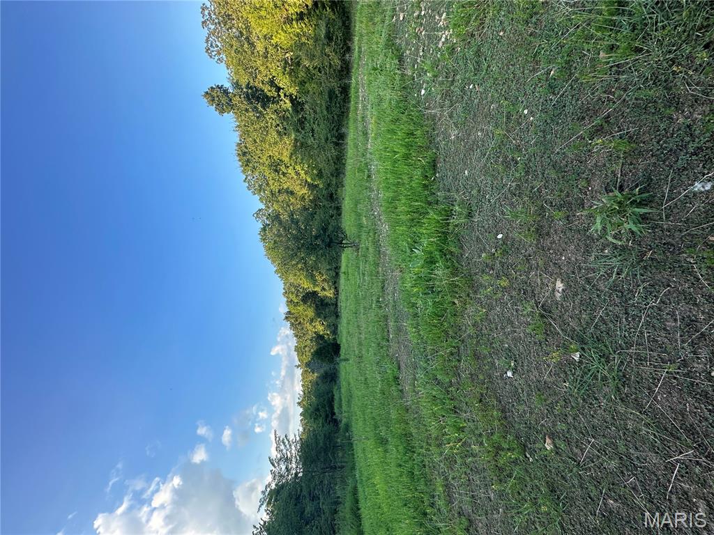 Tbd East Wirth Road Ravenden, AR 72459 - Photo 59 of 70