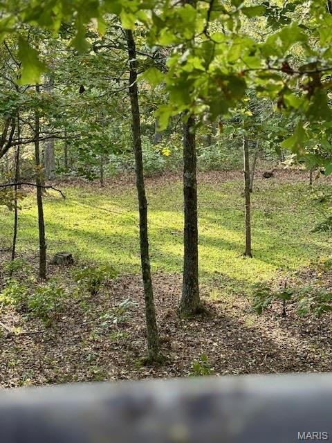 Tbd East Wirth Road Ravenden, AR 72459 - Photo 6 of 70