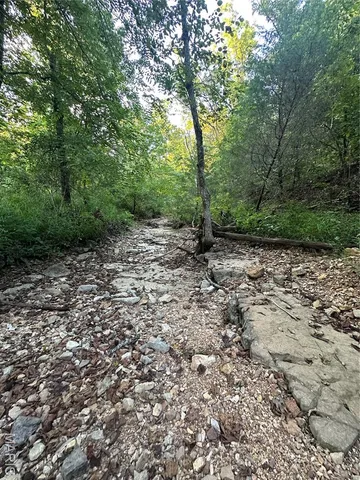 $218,519 | Tbd East Wirth Road, Ravenden, AR 72459