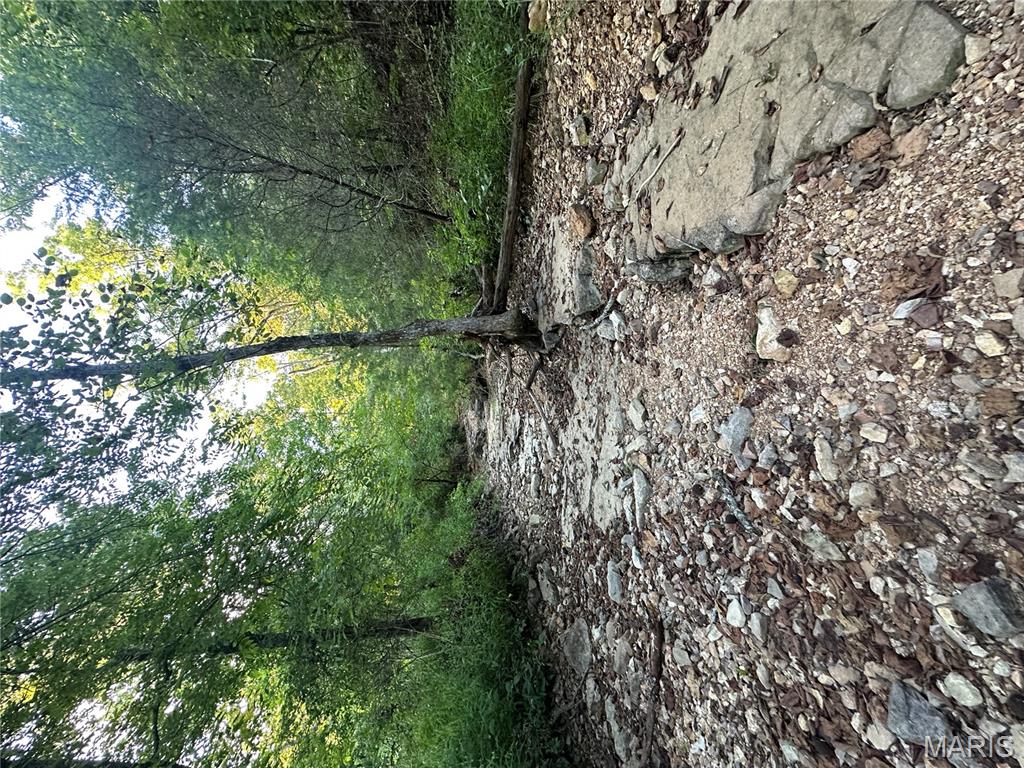 Tbd East Wirth Road Ravenden, AR 72459 - Photo 61 of 70