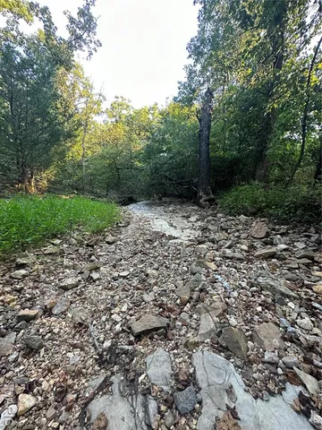 $218,519 | Tbd East Wirth Road, Ravenden, AR 72459