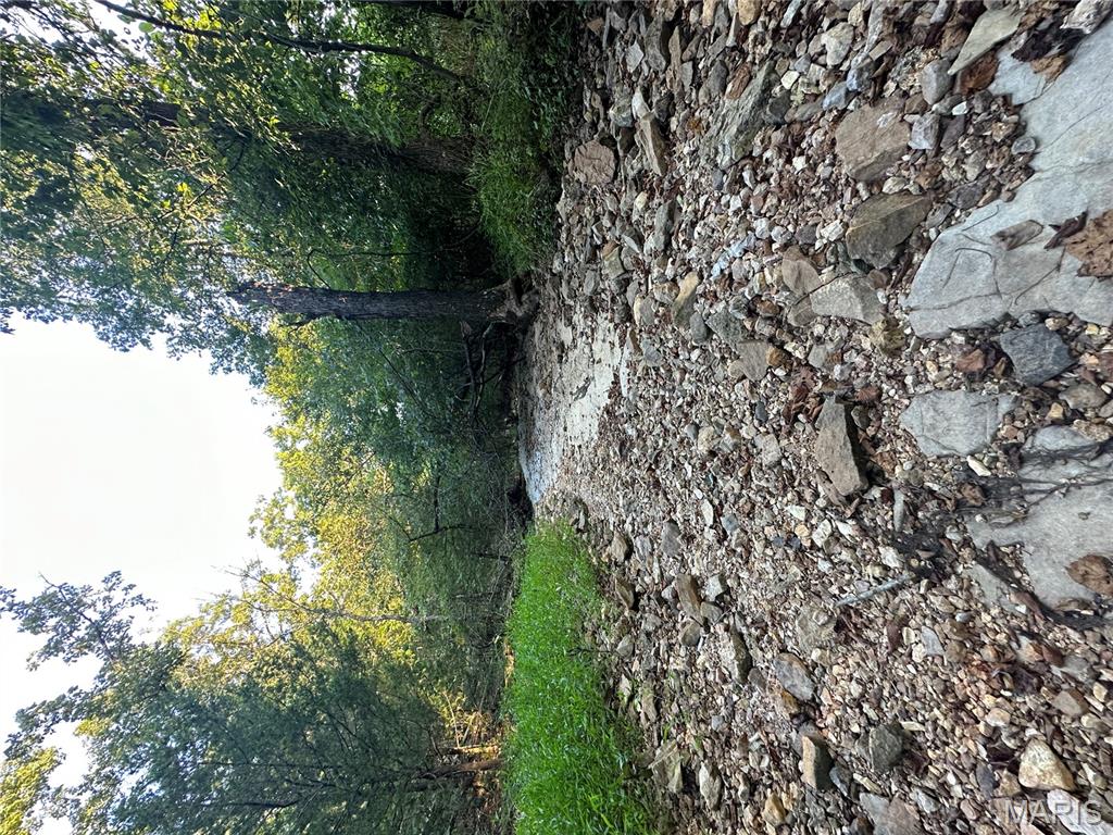 Tbd East Wirth Road Ravenden, AR 72459 - Photo 62 of 70