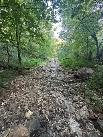 $218,519 | Tbd East Wirth Road, Ravenden, AR 72459