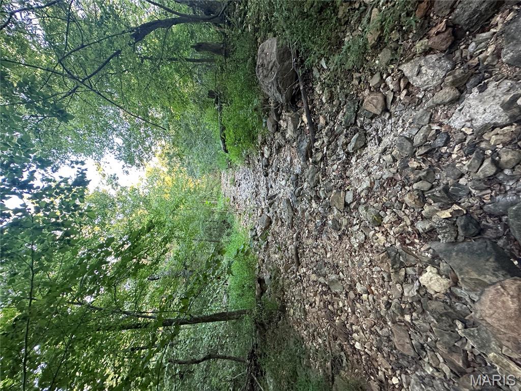 Tbd East Wirth Road Ravenden, AR 72459 - Photo 64 of 70