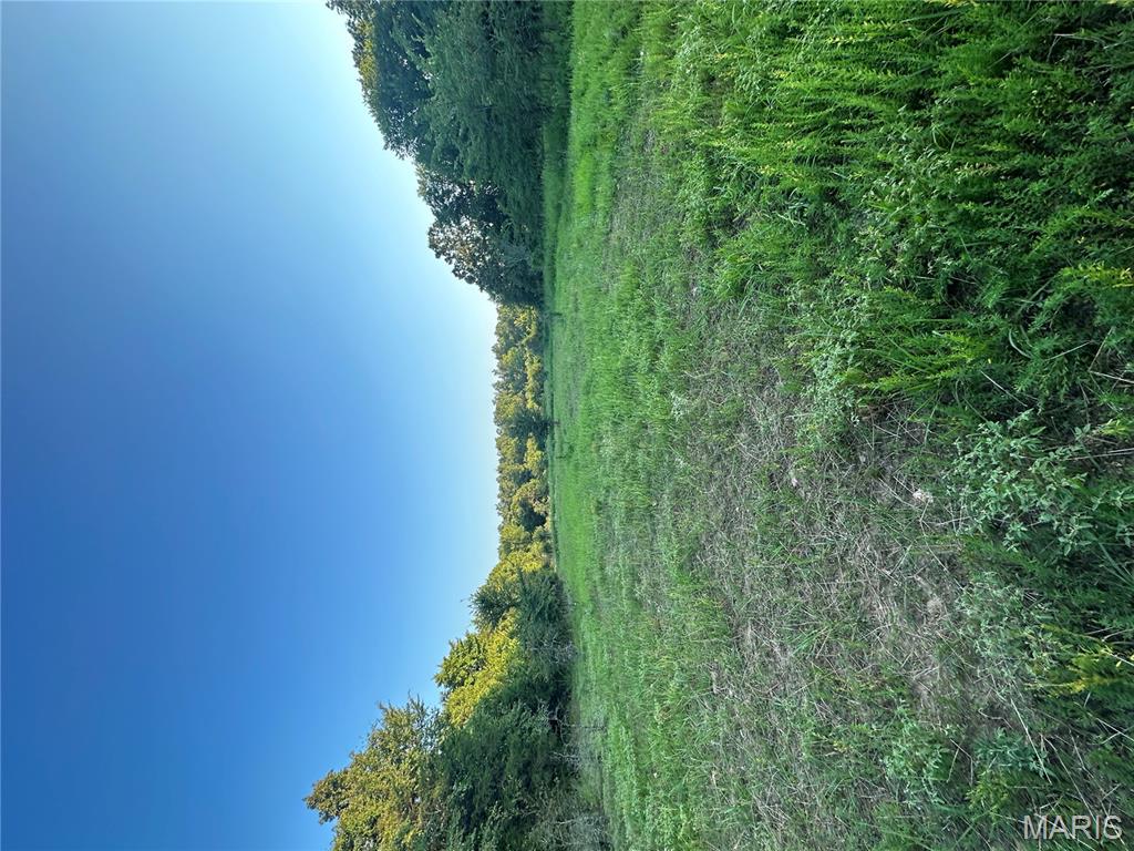 Tbd East Wirth Road Ravenden, AR 72459 - Photo 65 of 70