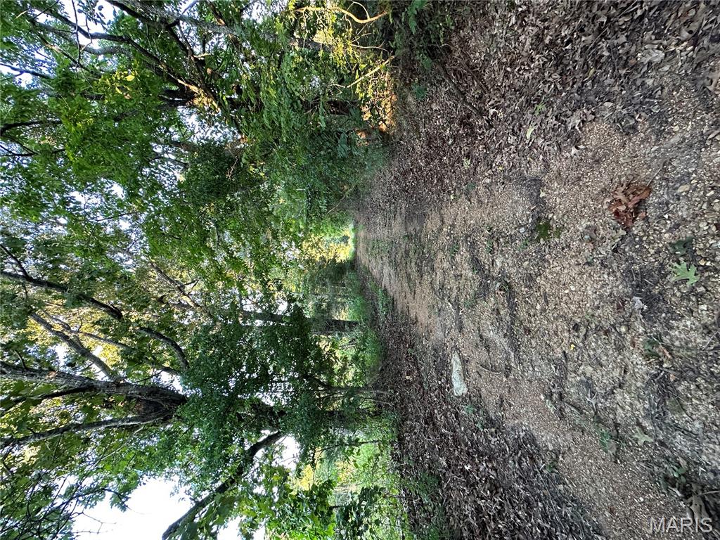 Tbd East Wirth Road Ravenden, AR 72459 - Photo 67 of 70