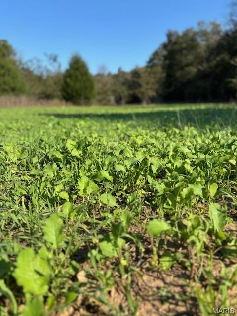 Tbd East Wirth Road Ravenden, AR 72459 - Photo 7 of 70
