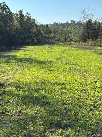 $218,519 | Tbd East Wirth Road, Ravenden, AR 72459