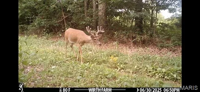 $218,519 | Tbd East Wirth Road, Ravenden, AR 72459