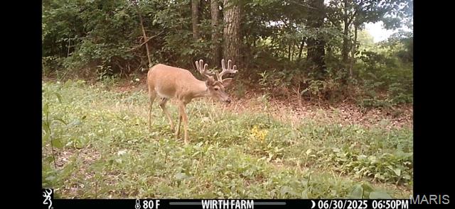 Tbd East Wirth Road Ravenden, AR 72459 - Photo 9 of 70