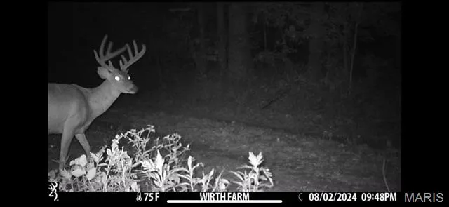 $218,519 | Tbd East Wirth Road, Ravenden, AR 72459