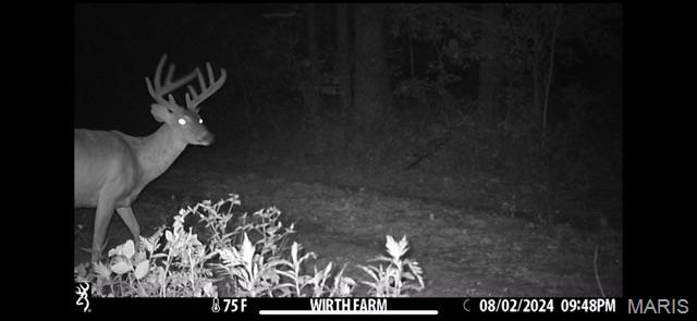 Tbd East Wirth Road Ravenden, AR 72459 - Photo 10 of 70