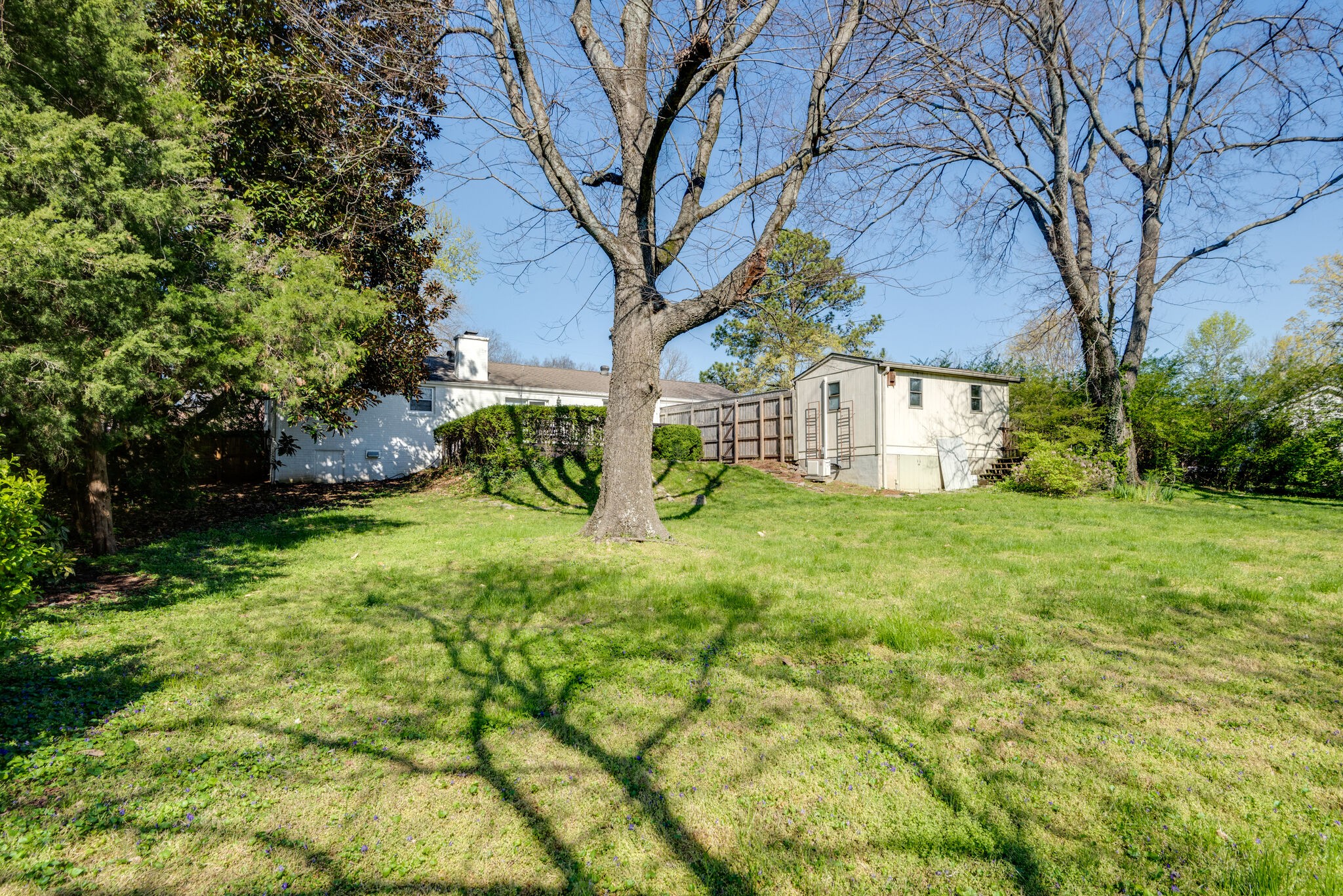 4902 Timberhill Drive Nashville, TN 37211 - Photo 30 of 30 a view of a backyard with large trees