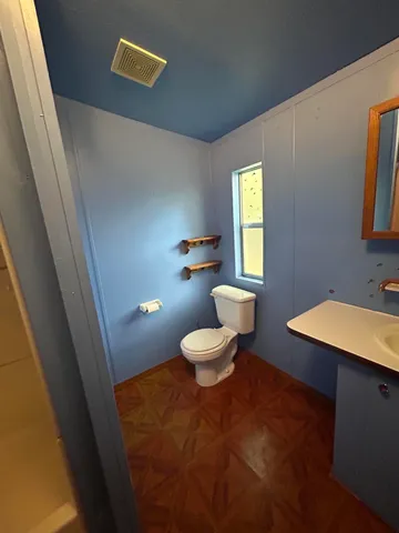 a bathroom with a sink and a toilet
