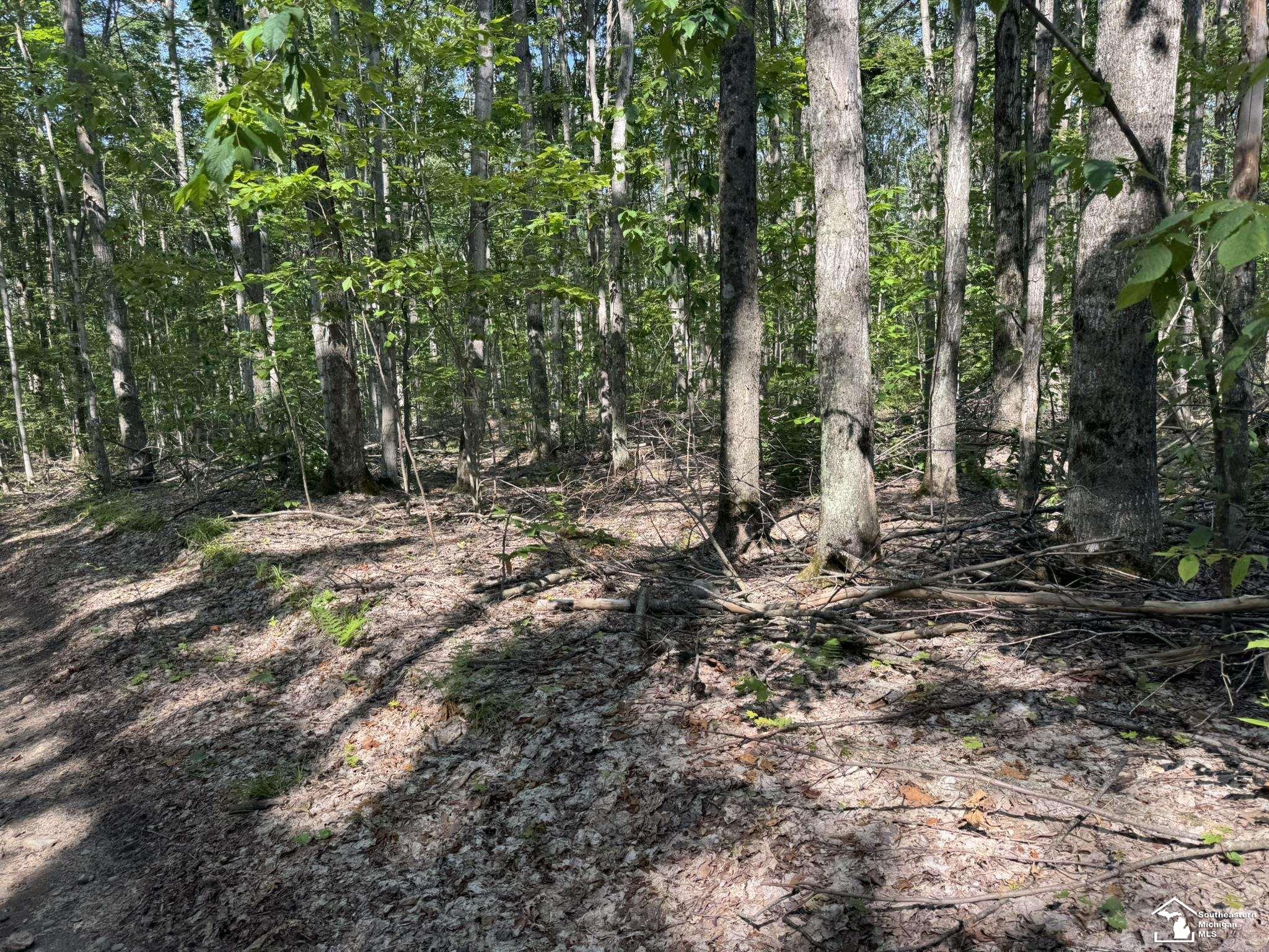 0 Hayes Tower Road Gaylord, MI 49735 - Photo 10 of 14