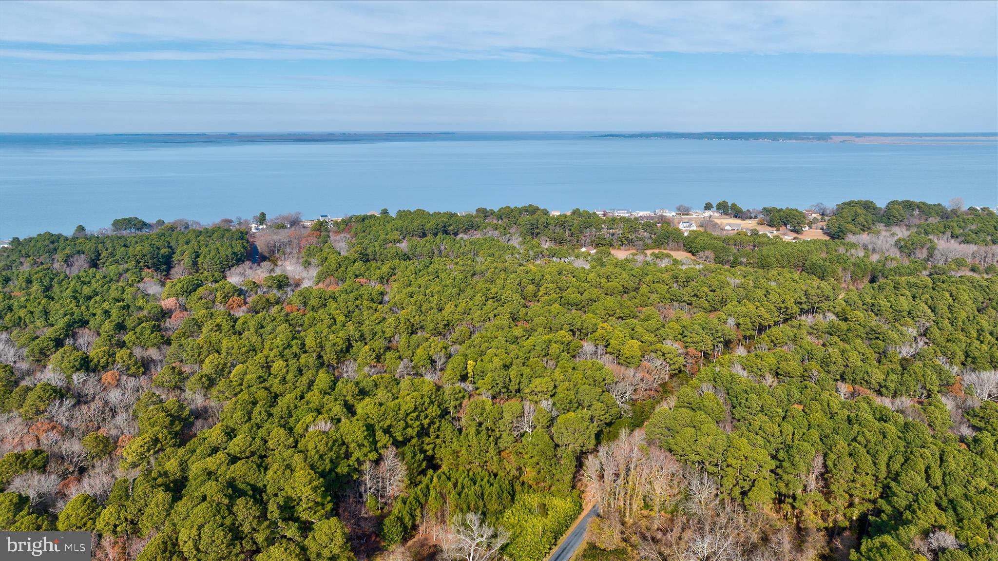a view of a large body of water and lots of trees