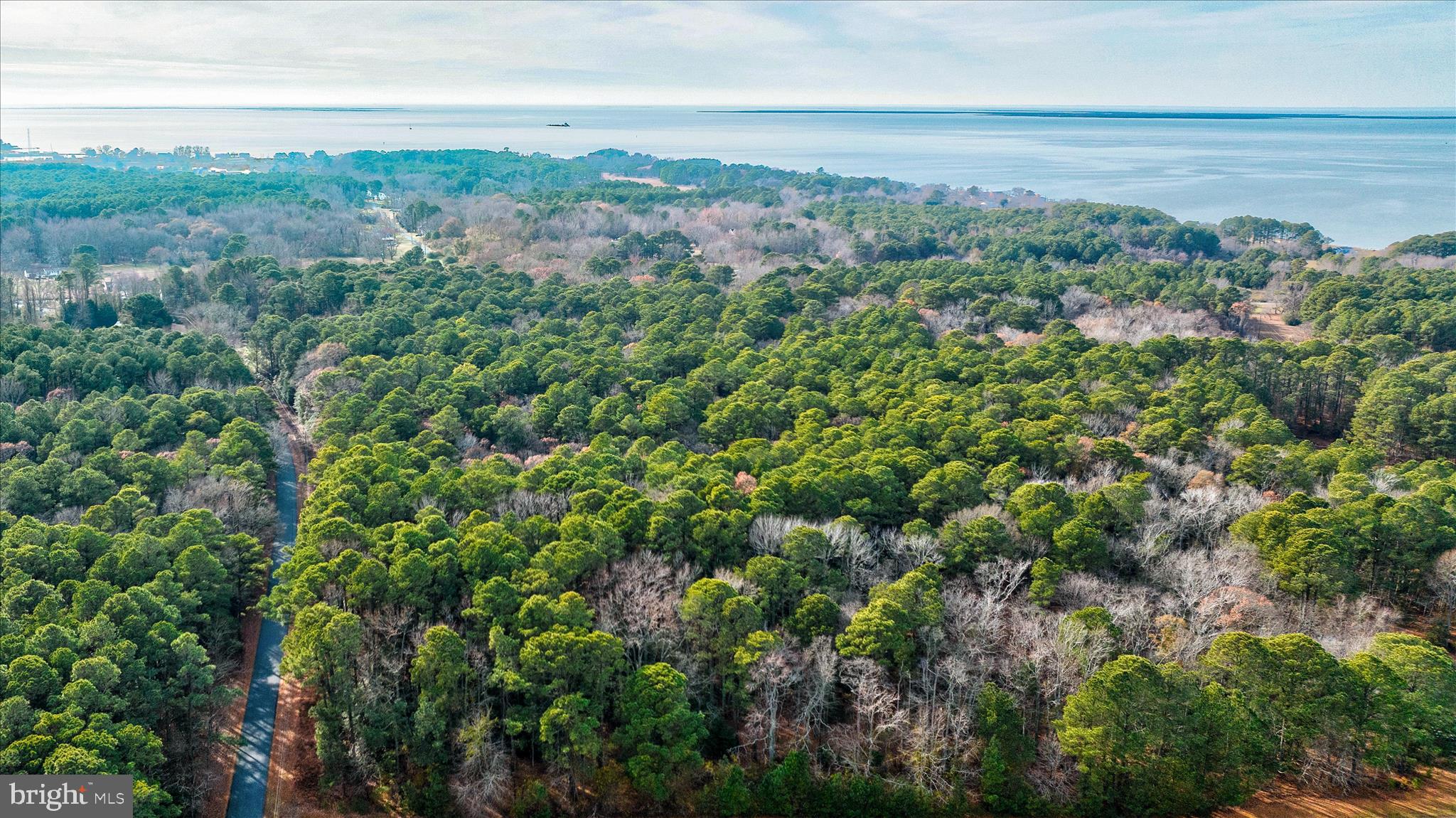 0 Roland Parks Road Chance, MD 21821 - Photo 12 of 17 an aerial view of multiple house