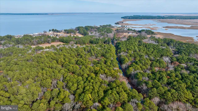 a view of a lake with a yard