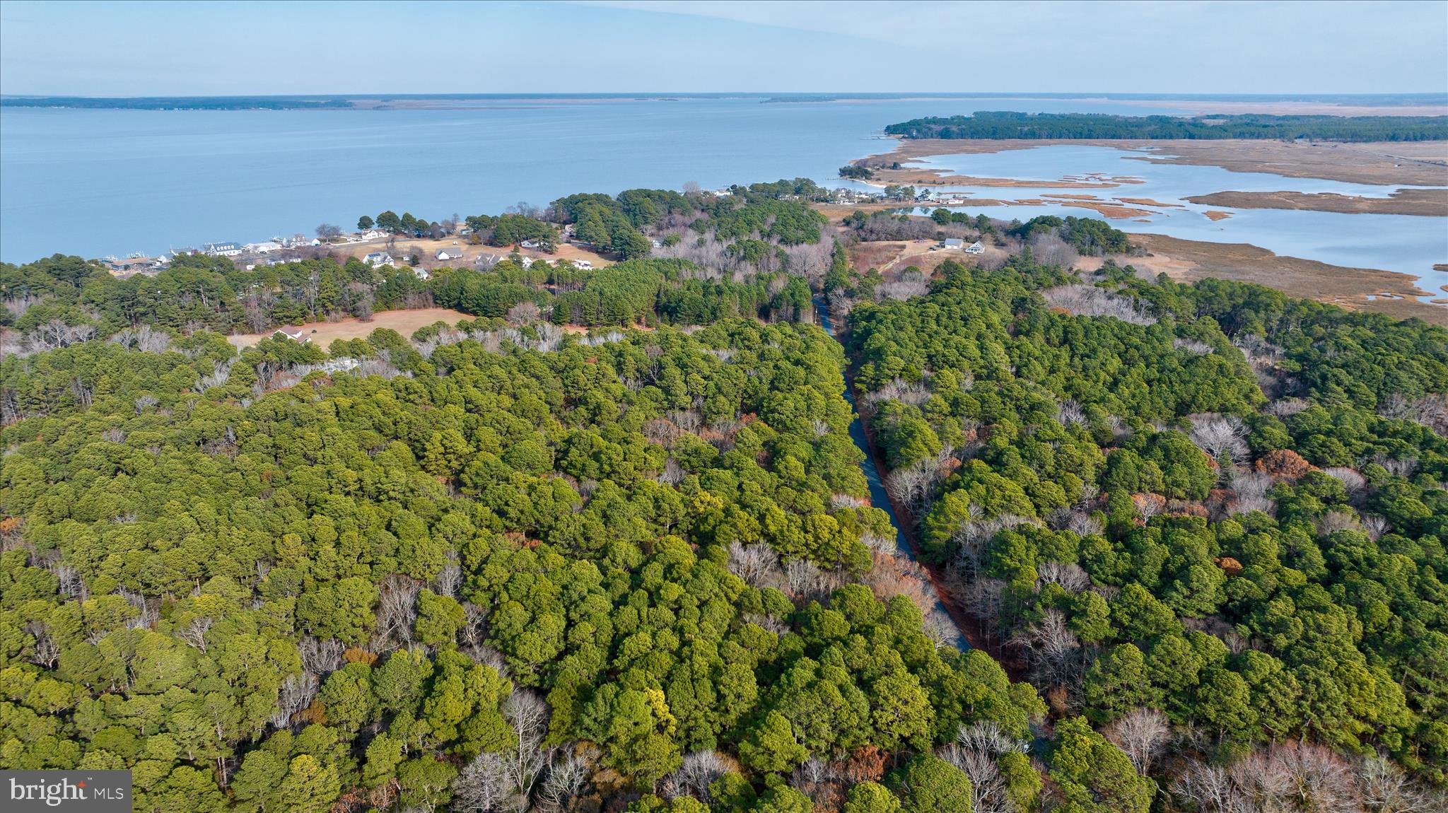 0 Roland Parks Road Chance, MD 21821 - Photo 13 of 17 a view of a lake with a yard