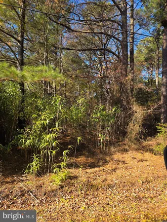 $70,000 | 0 Roland Parks Road, Chance, MD 21821