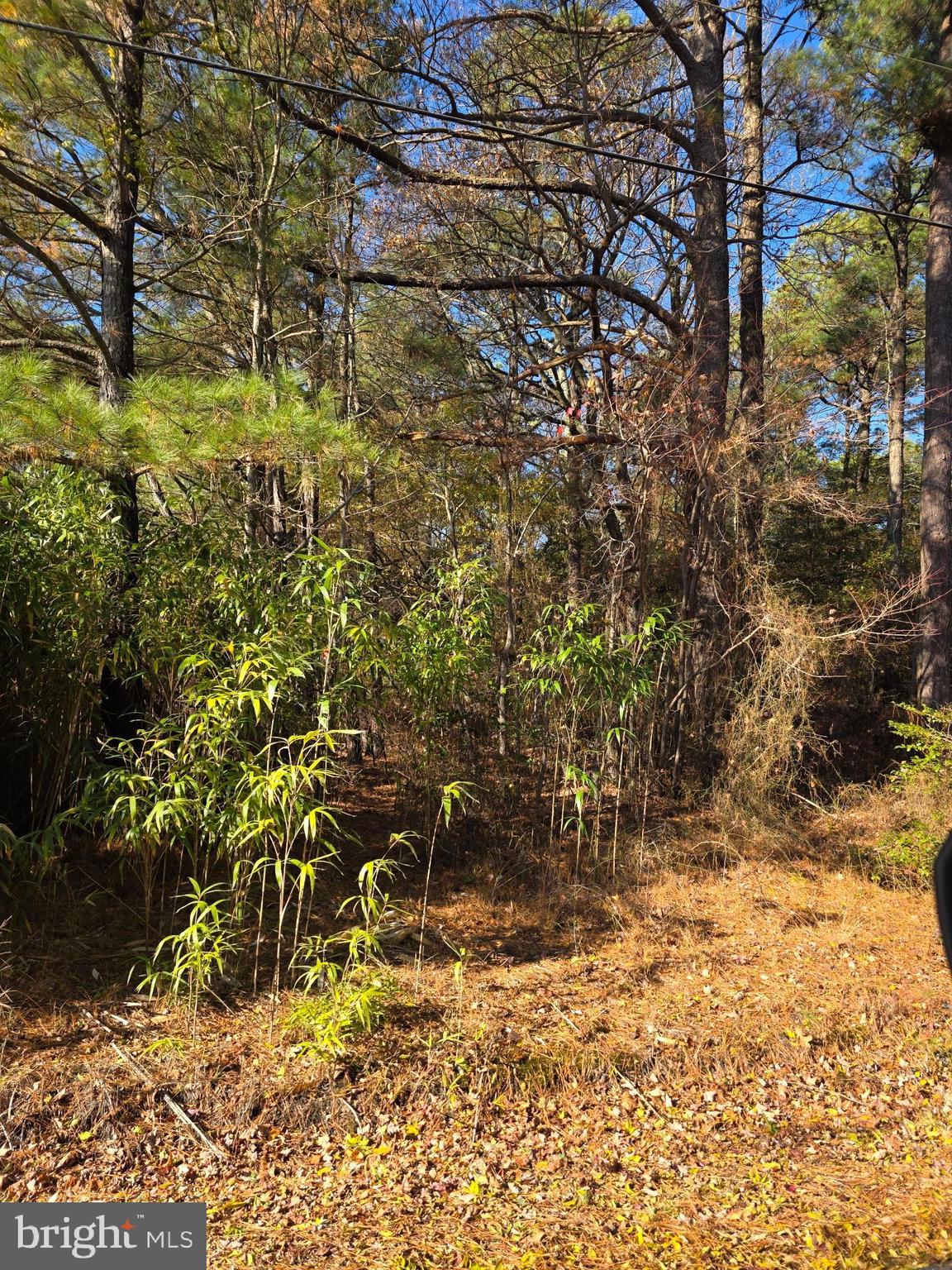 0 Roland Parks Road Chance, MD 21821 - Photo 16 of 17 a view of under construction area