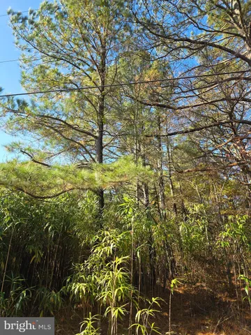 $120,000 | 0 Roland Parks Road, Chance, MD 21821