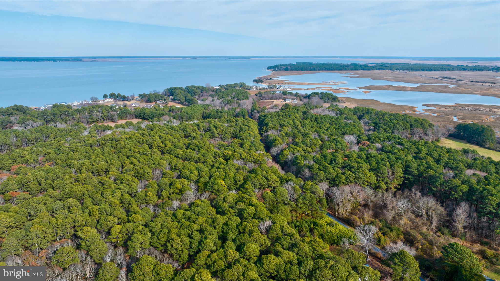 0 Roland Parks Road Chance, MD 21821 - Photo 2 of 17 a view of an ocean and beach