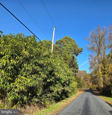 $70,000 | 0 Roland Parks Road, Chance, MD 21821