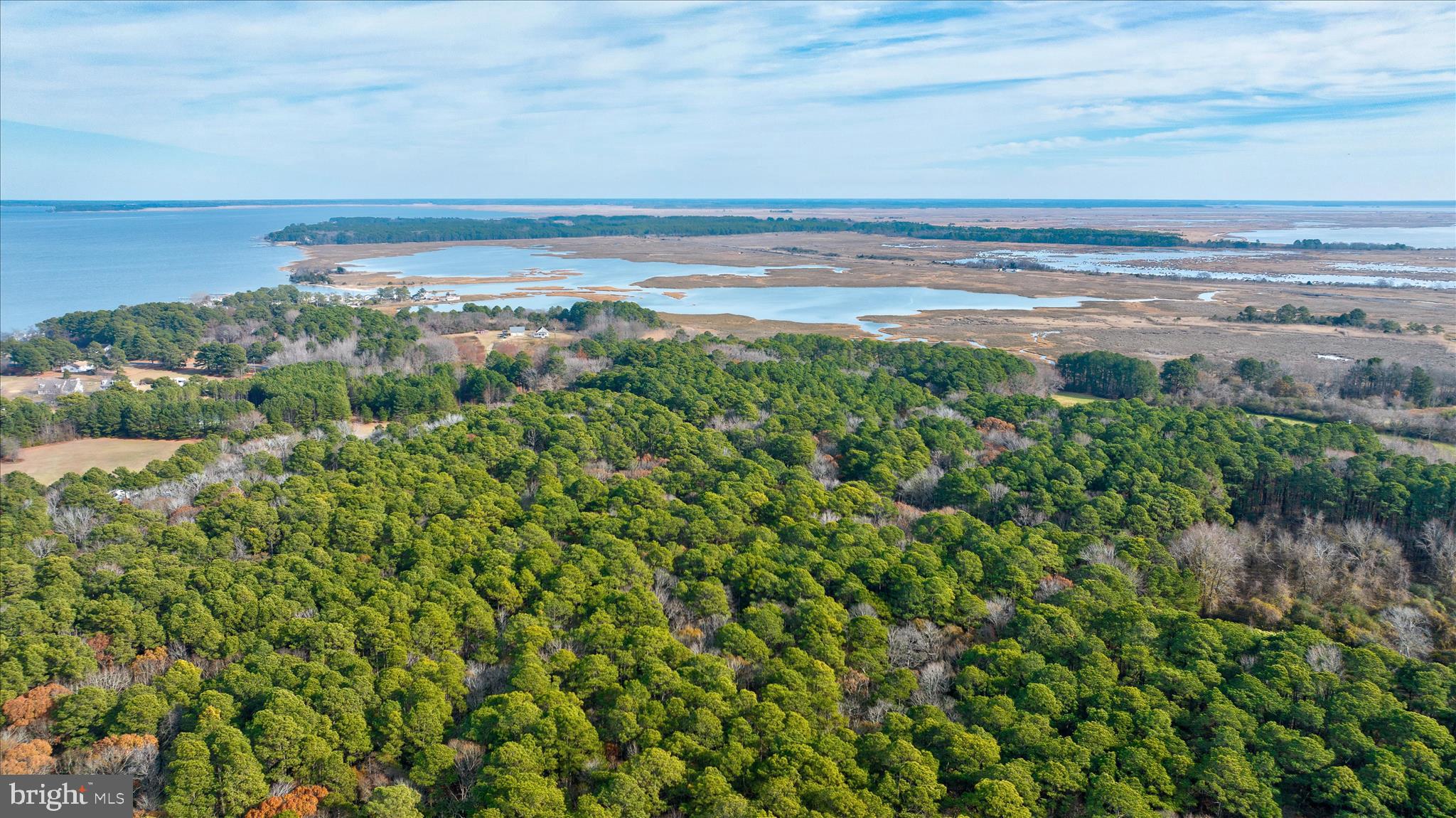 0 Roland Parks Road Chance, MD 21821 - Photo 5 of 17 a view of an ocean and beach