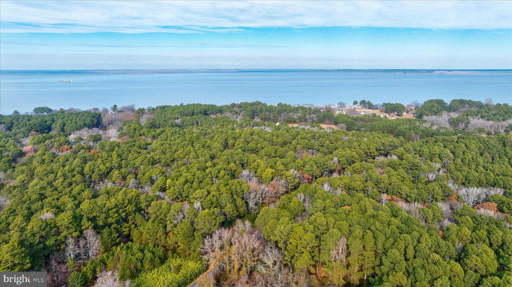 0 Roland Parks Road Chance, MD 21821 - Photo 8 of 17 a view of a lake with a city