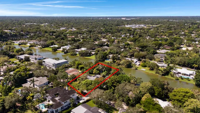 a view of a yard with plants and trees