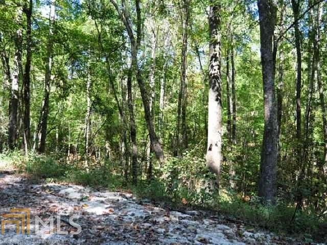3312 South McKoy Road Villa Rica, GA 30180 - Photo 12 of 17 a view of forest