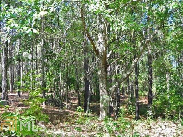3312 South McKoy Road Villa Rica, GA 30180 - Photo 13 of 17 a backyard of a house with lots of green space