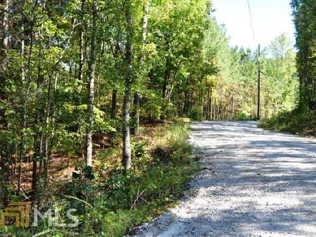 3312 South McKoy Road Villa Rica, GA 30180 - Photo 14 of 17 a view of a backyard of a house