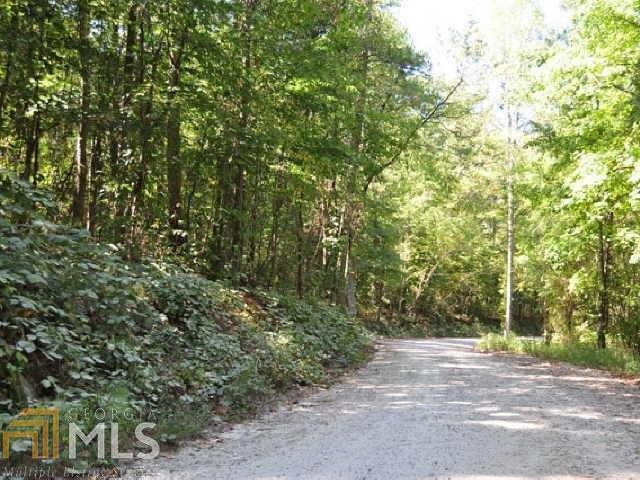 3312 South McKoy Road Villa Rica, GA 30180 - Photo 9 of 17 a view of a yard with plants and trees