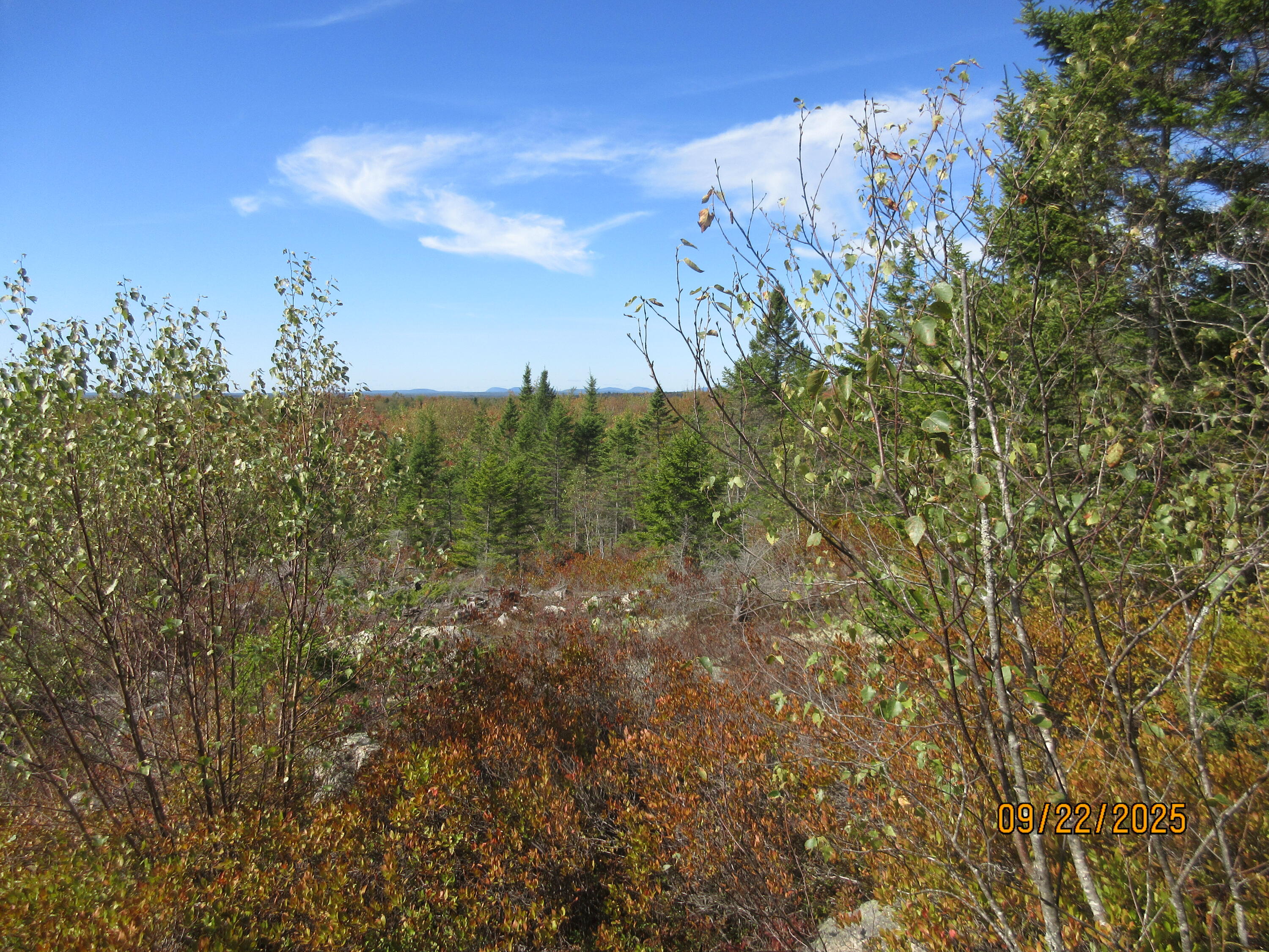 Lot #7 Highland Road Addison, ME 04606 - Photo 4 of 6