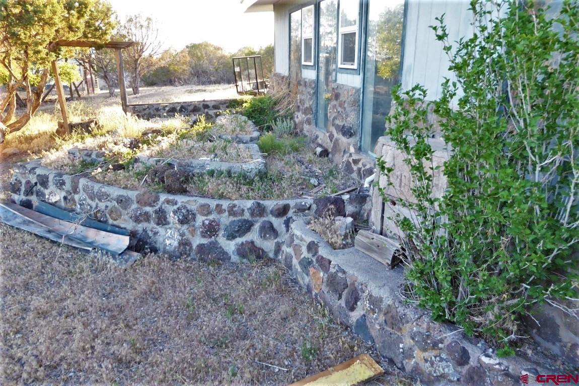 25352 Cedar Mesa Road Cedaredge, CO 81413 - Photo 25 of 32 a view of a yard with plants and large trees