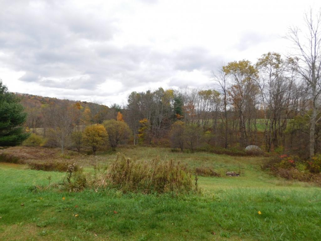 43 Rowe Road Harpursville, NY 13787 - Photo 8 of 17 Gallery Image 8