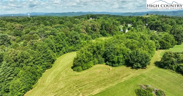 a view of a yard with plants