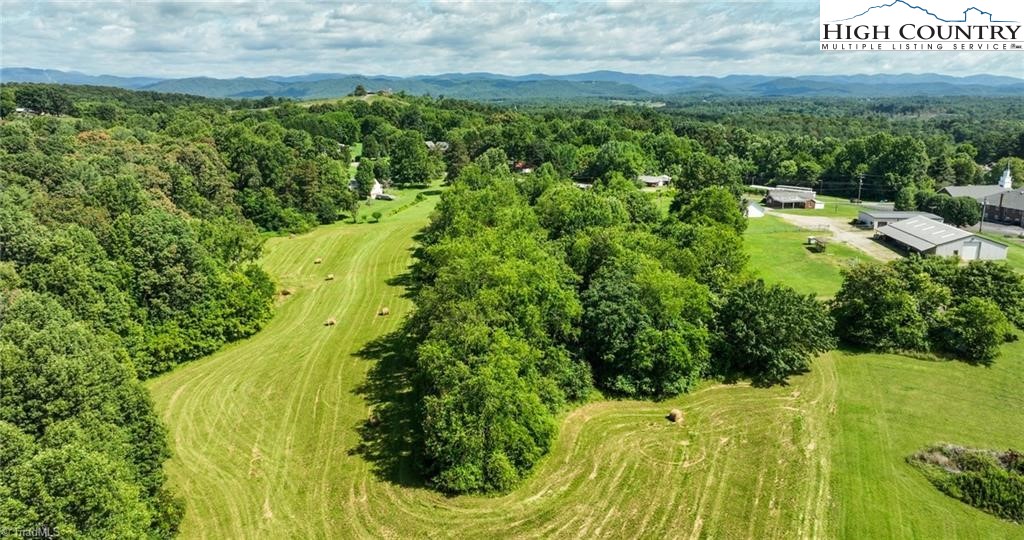 820 Suncrest Orchard Road North Wilkesboro, NC 28659 - Photo 3 of 41 a view of a yard with plants