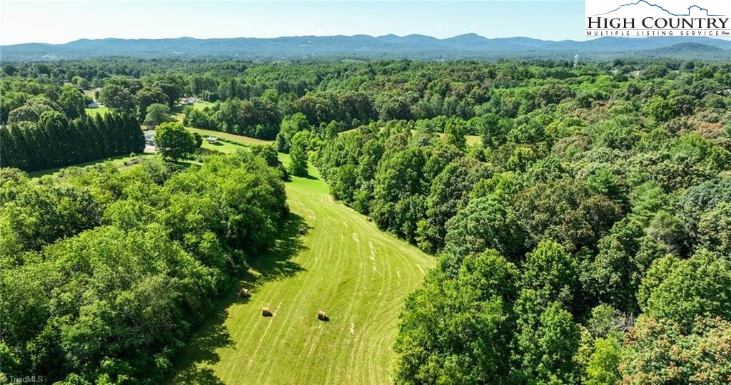 820 Suncrest Orchard Road North Wilkesboro, NC 28659 - Photo 4 of 41 a view of a back yard