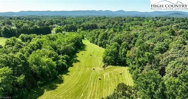 a view of a garden with mountain