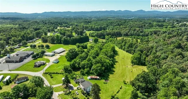 a view of a lush green forest with mountains in the background