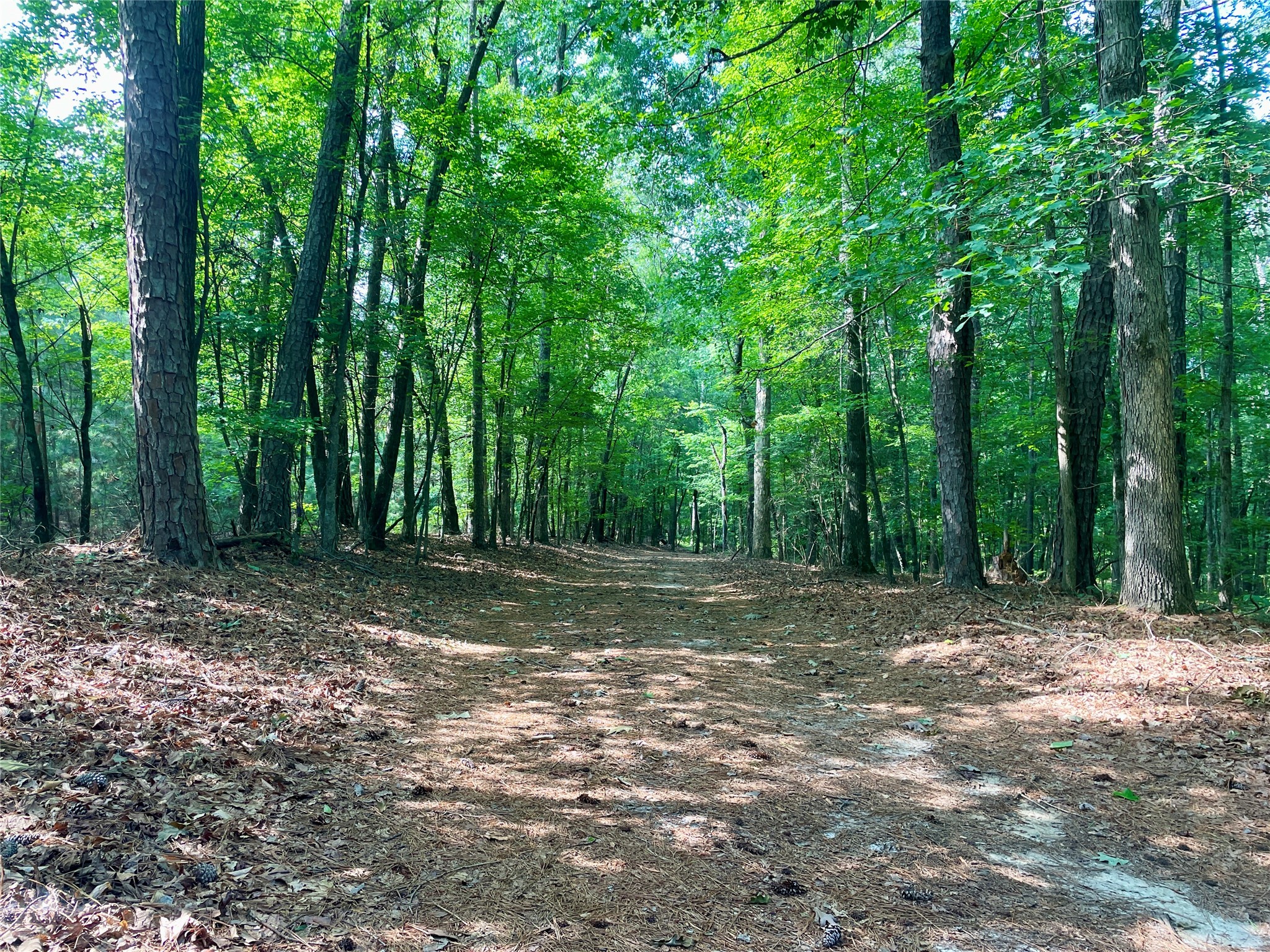 2983 Mallorysville Road Tignall, GA 30668 - Photo 45 of 47