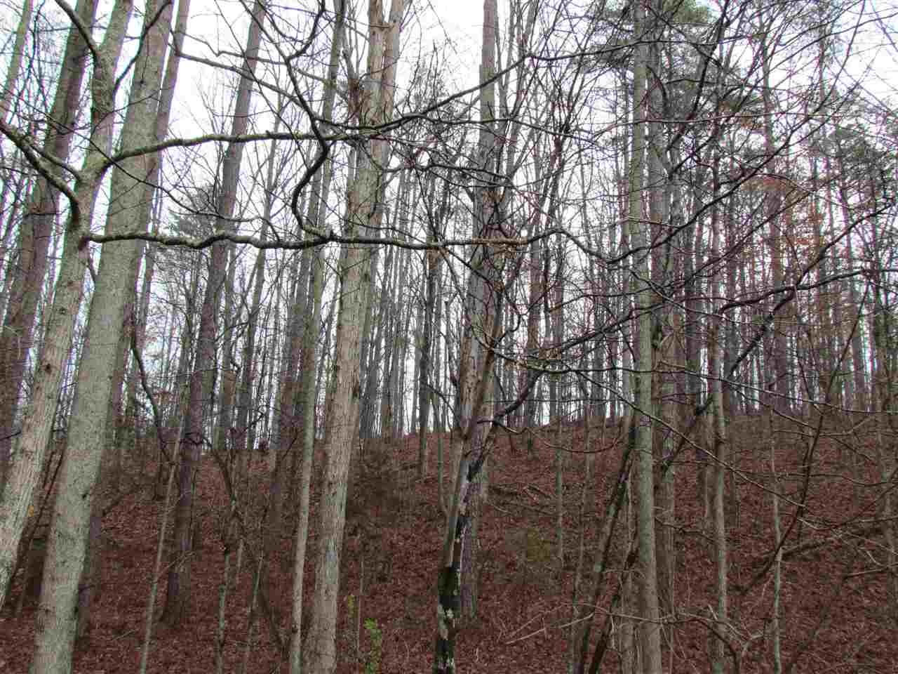 0 Van Davis Road Northwest Charleston, TN 37310 - Photo 8 of 19
