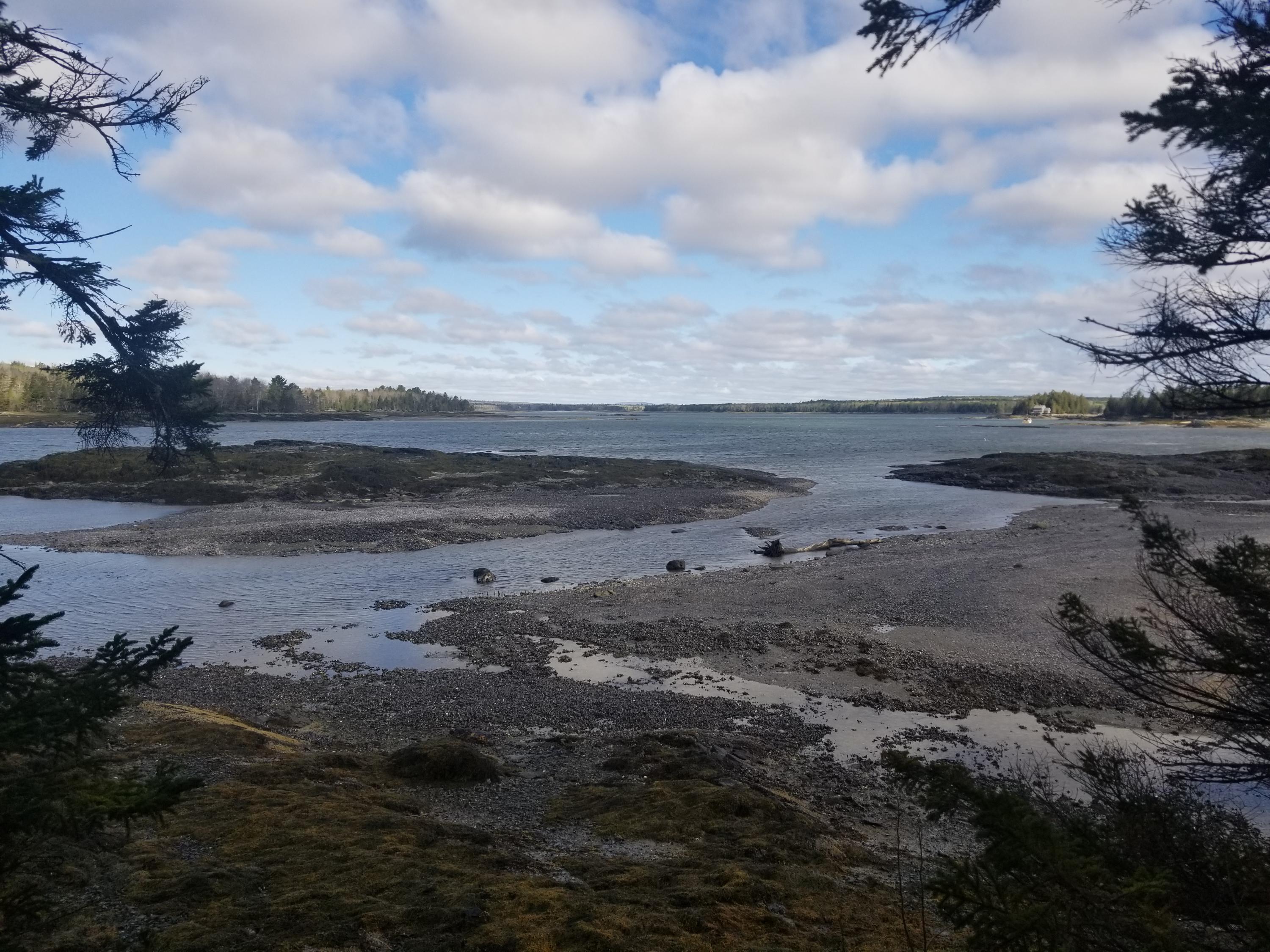 80 Graham Cove Road Hancock, ME 04640 - Photo 8 of 10 20190522_081629