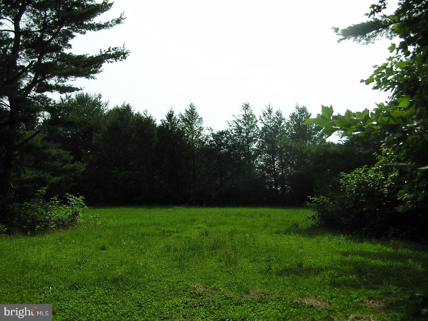 249 Laurel Heights Road Landenberg, PA 19350 - Photo 8 of 10 Back Yard