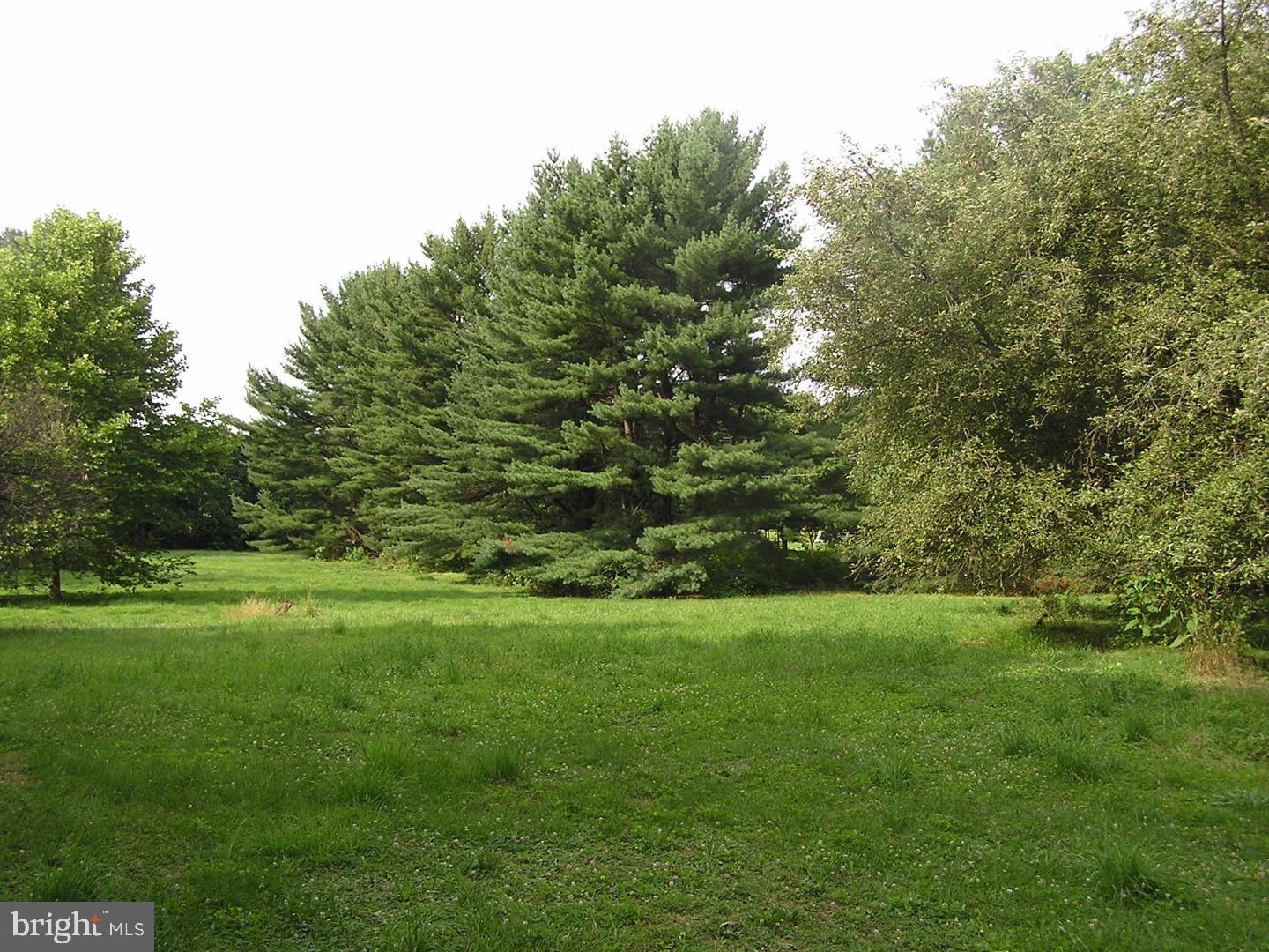 249 Laurel Heights Road Landenberg, PA 19350 - Photo 9 of 10 Back Yard